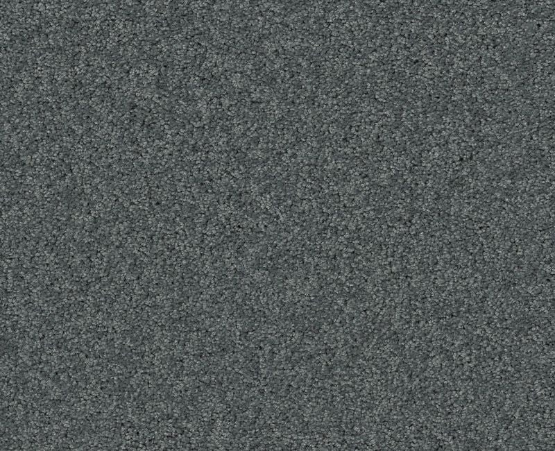 Detailed Elegance Ii Atmosphere Nylon Carpet - Loop