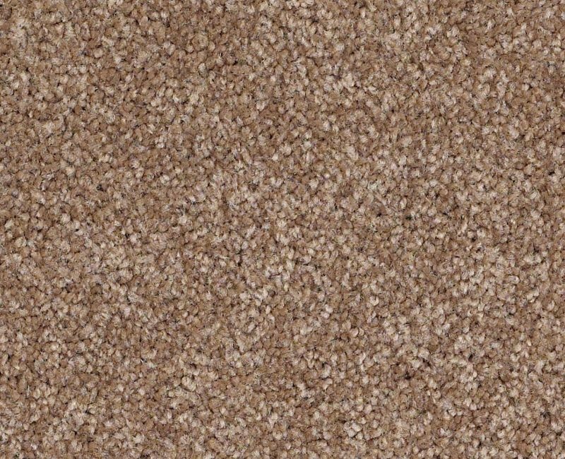 Anso Open II (S) Acorn Nylon Carpet - Textured