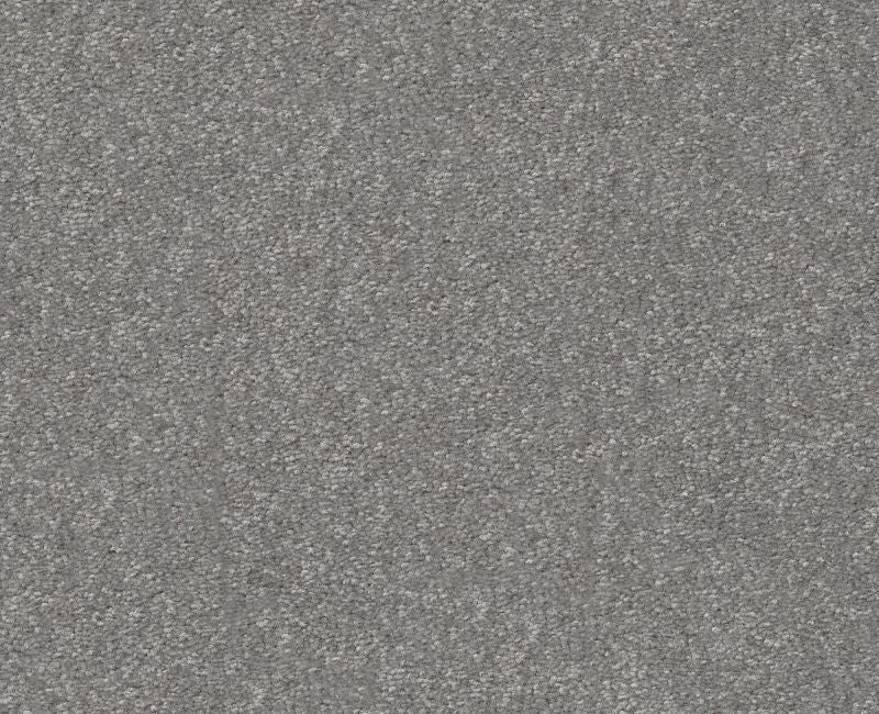 Off The Leash Iii 12 Vintage Polyester Carpet - Loop