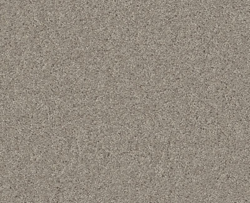 Detailed Elegance Ii Textured Canvas Nylon Carpet - Loop
