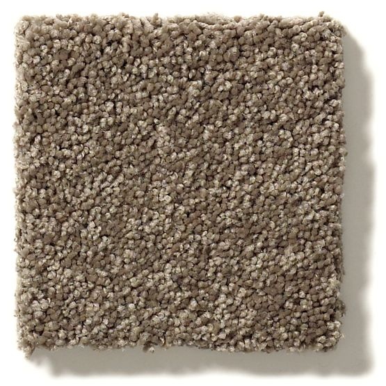 Free Form Rockport Nylon Carpet - Textured