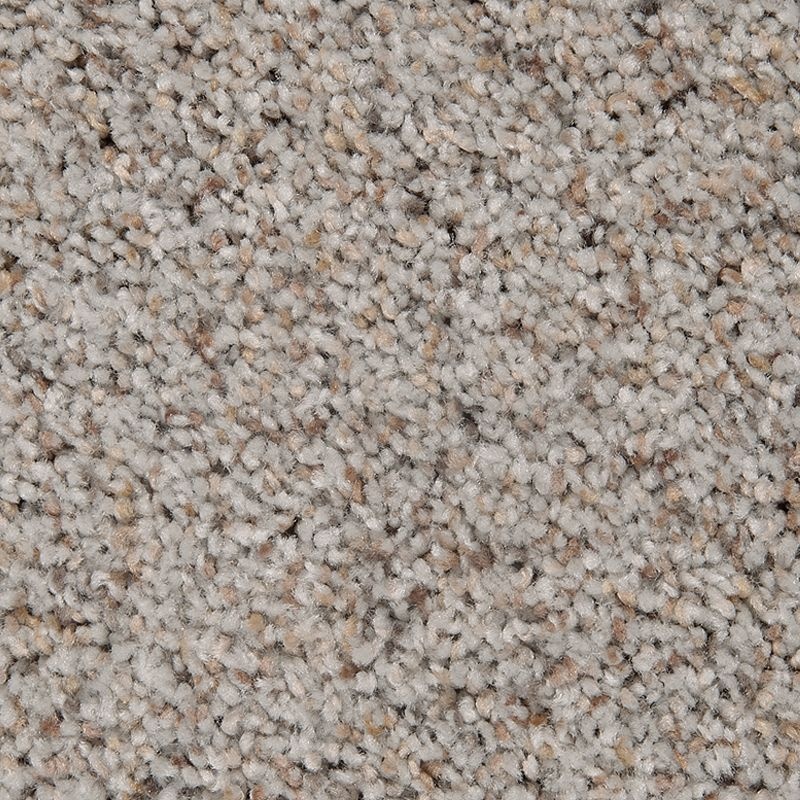 Serene Harmony Newspirit Triexta Carpet - Textured
