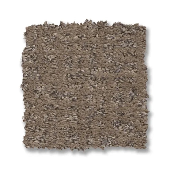 Reawaken Caboodle Sable Polyester Carpet