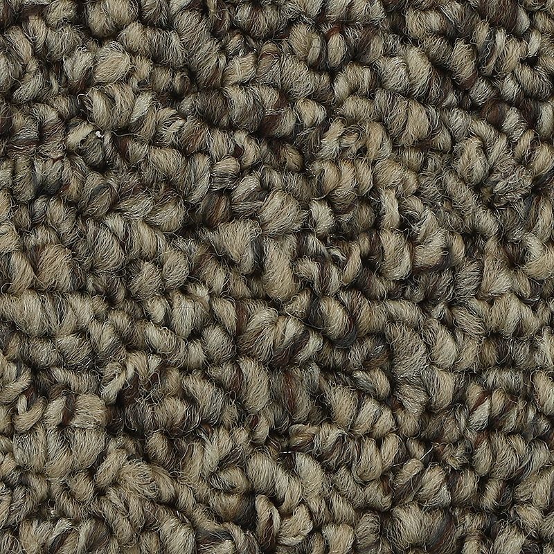 Pure Admiration Warm Neutral Polyester Carpet