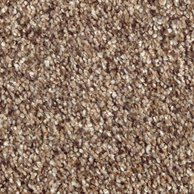 Nature's Luxury II Fallen Timber Triexta Carpet - Textured