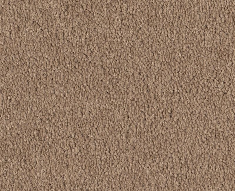 Magic Happens Pv I Shell Nylon Carpet - Textured