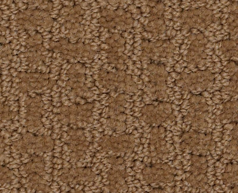 Bold Attitude Toffee Nylon Carpet - Pattern