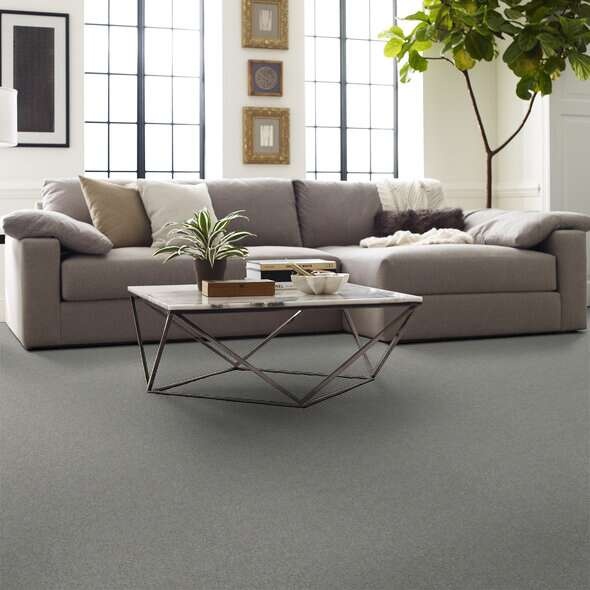 Soft Shades My Choice Ii Glaze Nylon Carpet - Textured