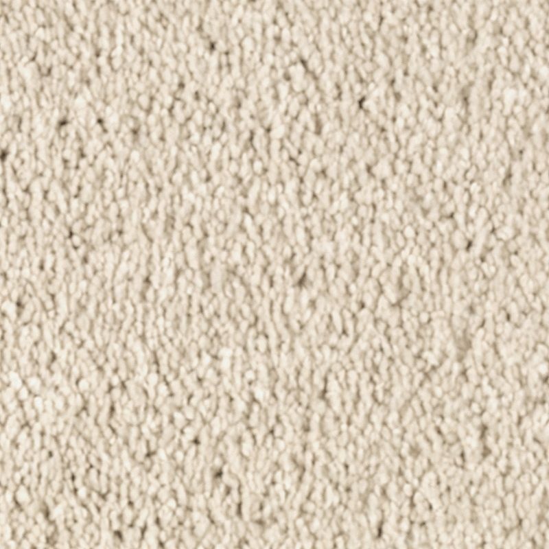 Natural Splendor I Soft Linen Triexta Carpet - Textured