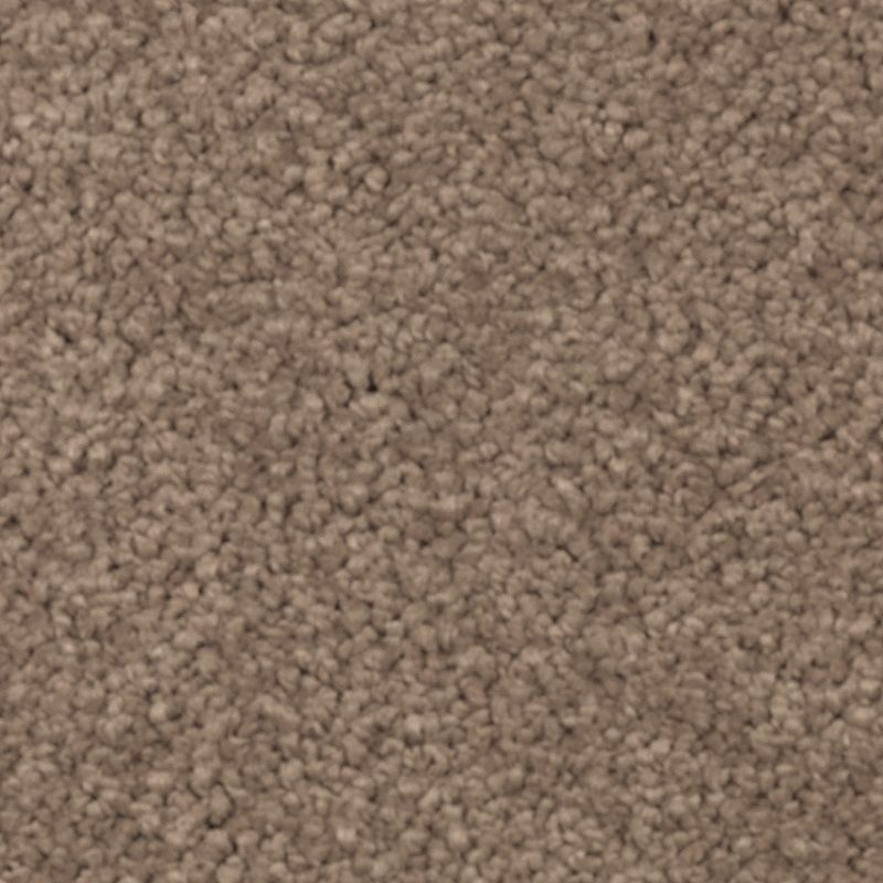Natural Splendor I Cat Tail Triexta Carpet - Textured