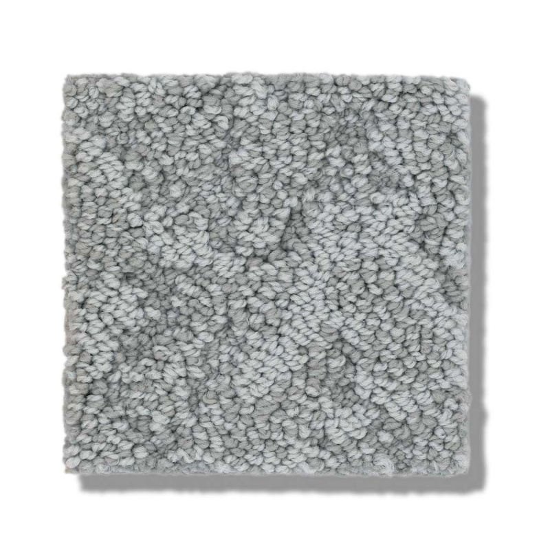Caress By Shaw Lavish Living Waters Edge Nylon Carpet