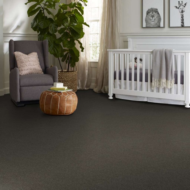 Foundations Luxuriant Mountain Shadow Nylon Carpet - Textured