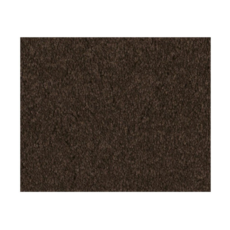 Bright Spirit I 12 Tundra Nylon Carpet - Textured
