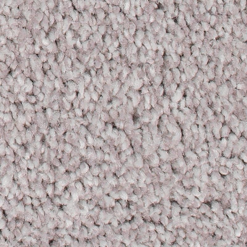 Soft Comfort Dewkist Polyester Carpet - Textured