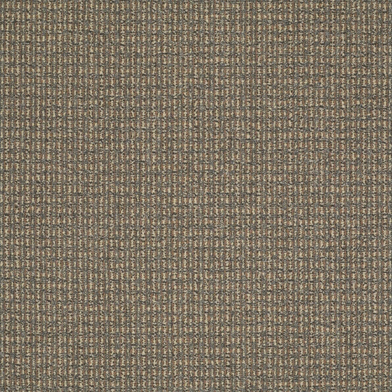 Sourcebook Iii The Move Right On Nylon Carpet - Textured