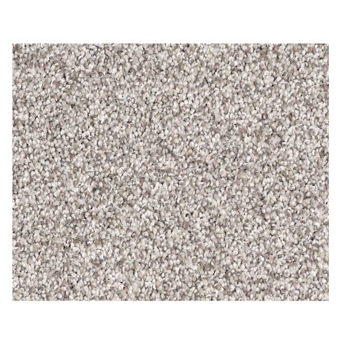 Salt Creek Beach Silver Charm Nylon Carpet - Textured