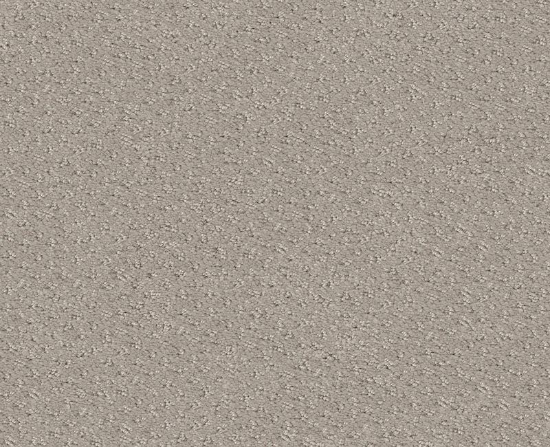 Main Squeeze Newstone Haven Nylon Carpet - Textured