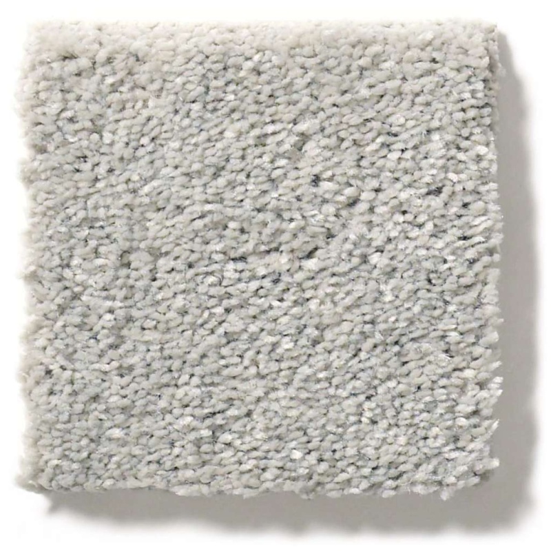 Simply The Best After All I Shadow Polyester Carpet - Textured