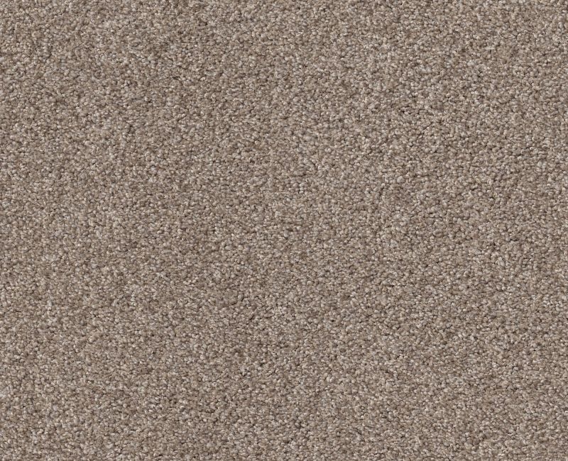 Simple Life Carriage House Nylon Carpet - Textured