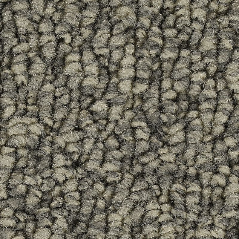 Cozy Classic Ice Grey Polyester Carpet