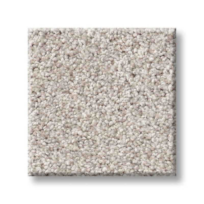 Foundations Live On Comfort Horizon Nylon Carpet - Textured