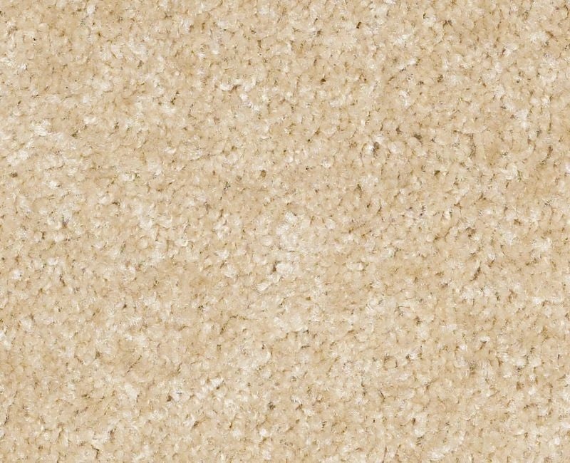 Instant Winner Fawn Nylon Carpet - Textured
