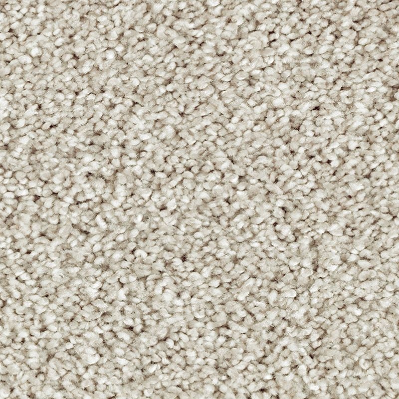 Natural Refinement II Raindrop Triexta Carpet - Textured