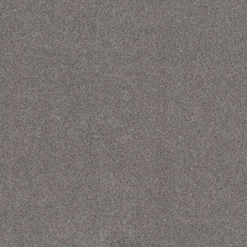 Foundations Live On Comfort Metro Gray Nylon Carpet - Textured