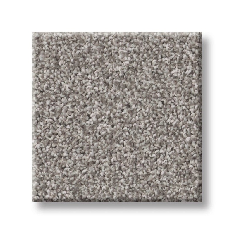 Imaginable Ii Stone Path Polyester Carpet - Textured