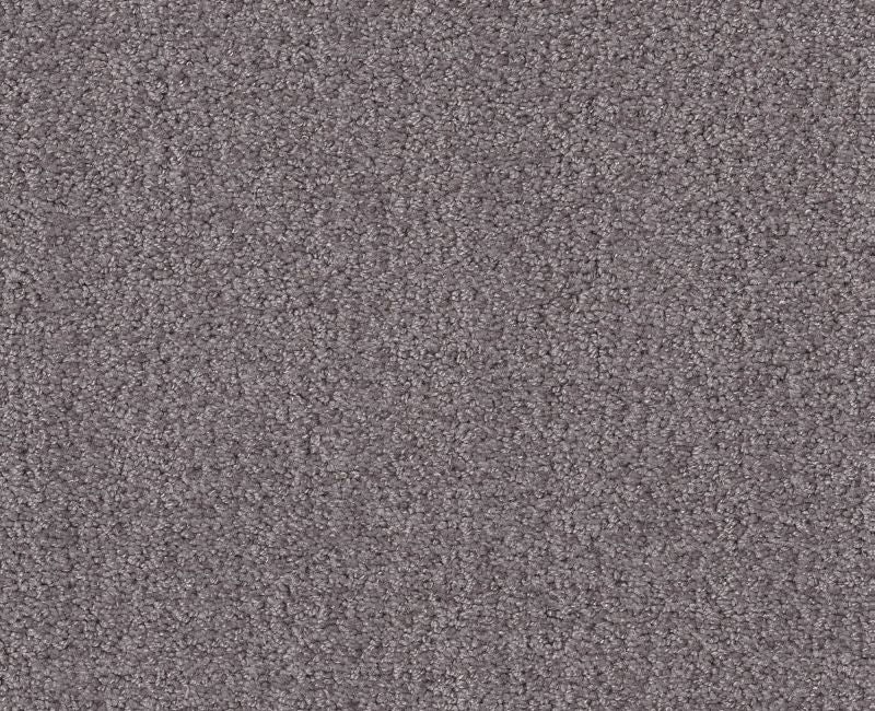 Rare Find Deep Connection Nylon Carpet - Loop