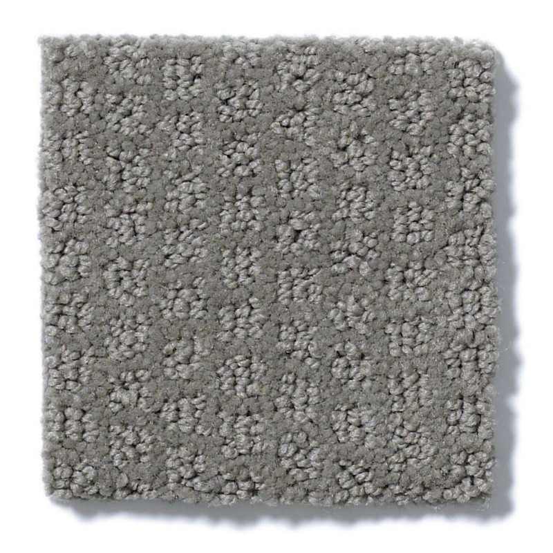 Simply The Best Pacific Trails Titanium Nylon Carpet - Pattern