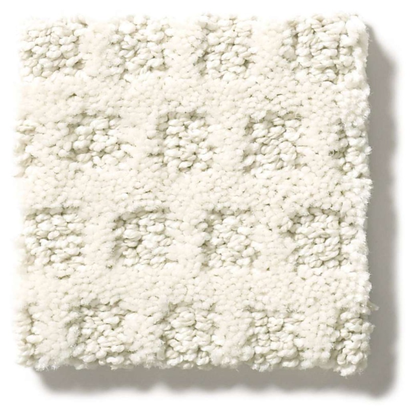 Caress By Shaw My Expression Snowfall Nylon Carpet - Pattern