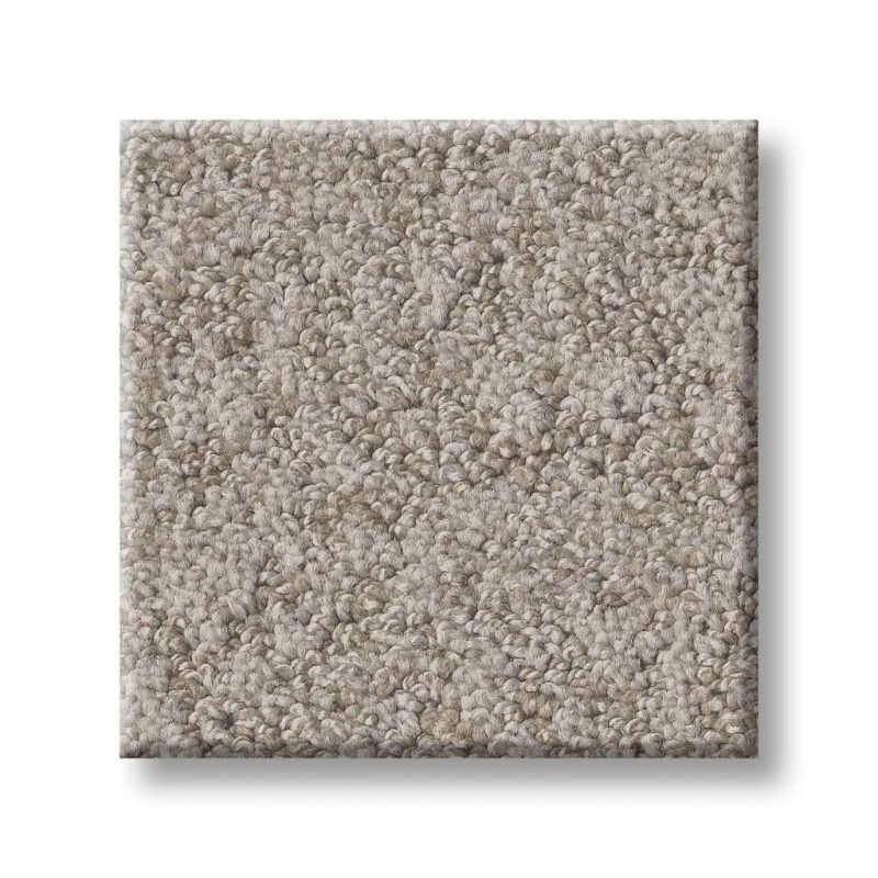 Foundations Alluring Canvas Fossil Path Nylon Carpet - Pattern