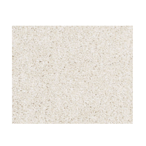 Bountiful Beauty Natural Cotton Nylon Carpet - Textured
