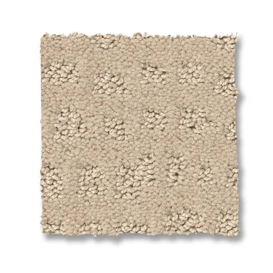 Reawaken Solstice Ivory Nylon Carpet - Loop