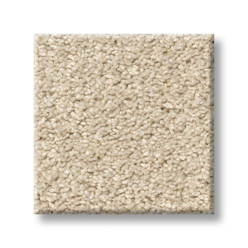 Origins Ii Winter White Nylon Carpet - Textured