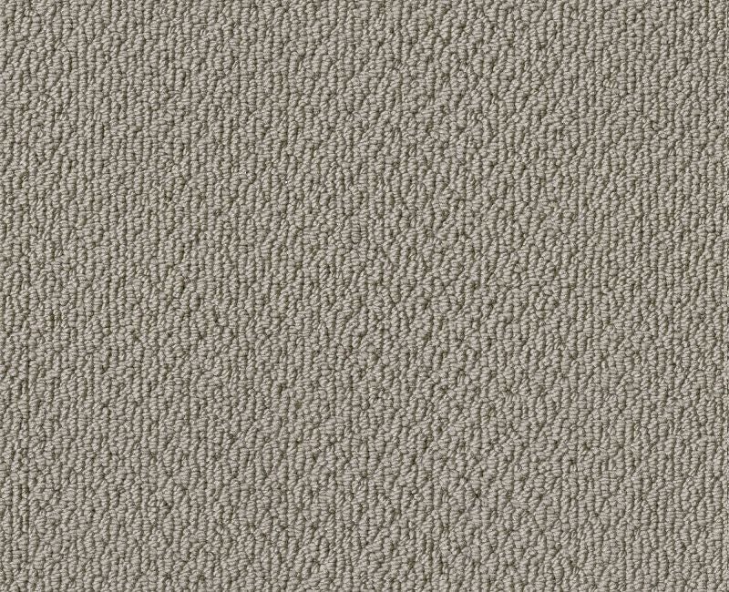 Detailed Statement Loop Ash Nylon Carpet - Loop