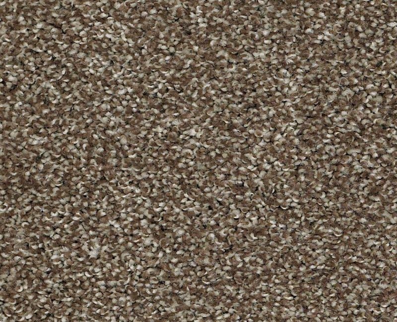 Uncomplicated Townhouse Nylon Carpet - Pattern