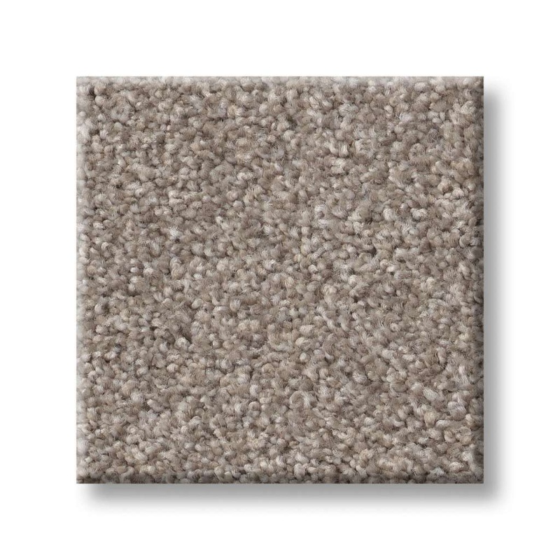 Foundations Live On Comfort Afterglow Nylon Carpet - Textured