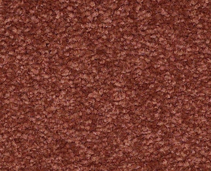 Bright Spirit Iii 15' Spanish Tile Nylon Carpet - Textured