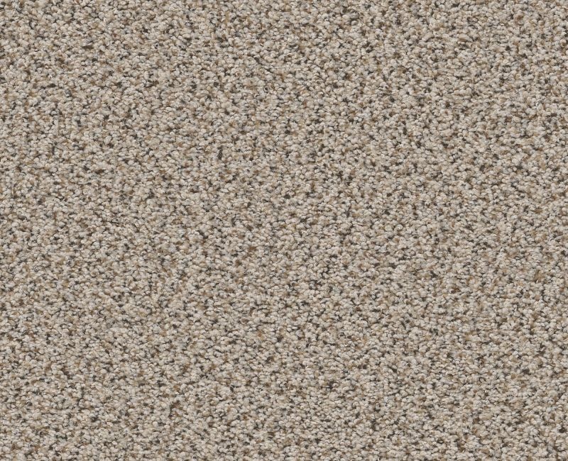 Vigorous Mix III Horizon Nylon Carpet - Loop