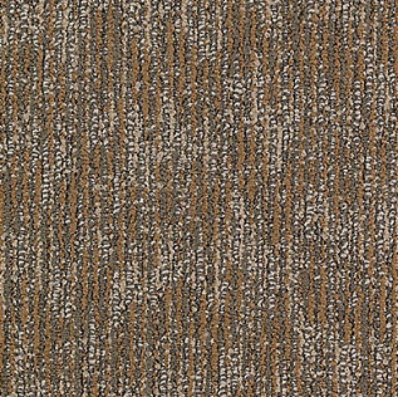 Inspiration Surface Purpose Enticing Texture Nylon Carpet - Loop