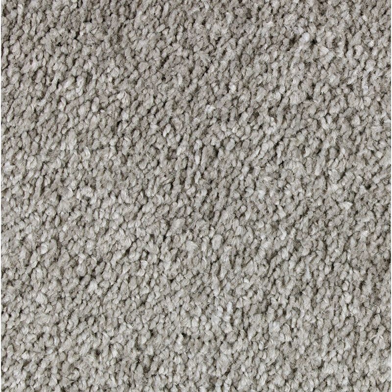 Exquisite Attraction Classical Triexta Carpet - Textured