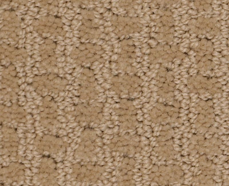 World View Natural Wood Nylon Carpet