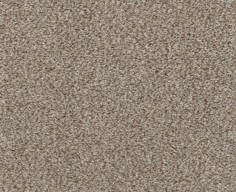 Marina I Beach House Polyester Carpet - Textured
