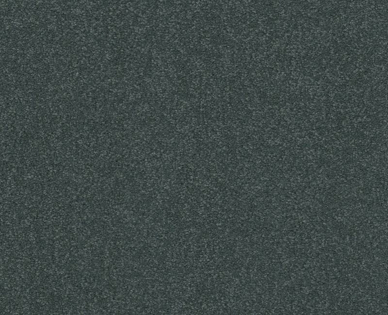 Magic Happens Pv Iii Jet Stream Nylon Carpet - Textured