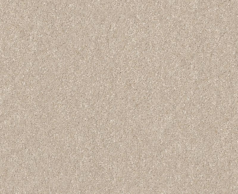 Off The Leash II 15 Warm Light Polyester Loop Carpet