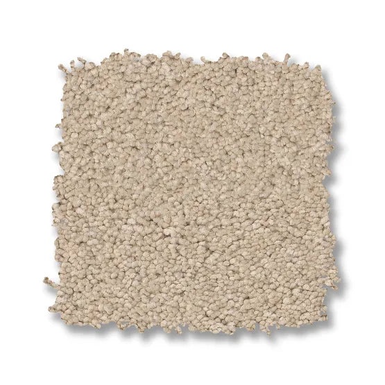 Elegant Beauty Tapioca Nylon Carpet - Textured
