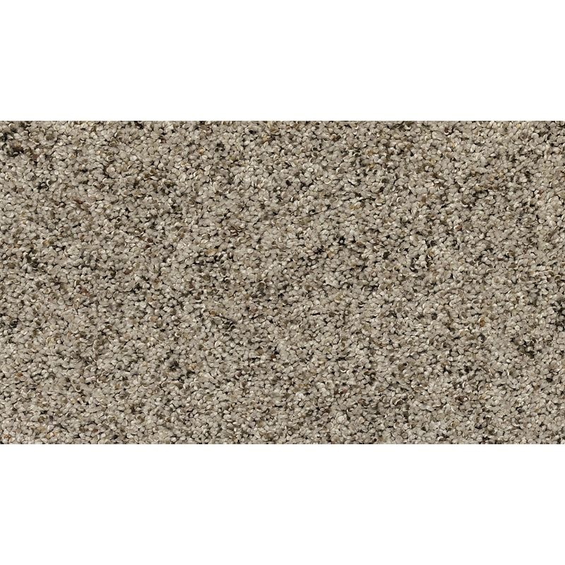 Soft Details Ii Dormer Polyester Carpet - Textured
