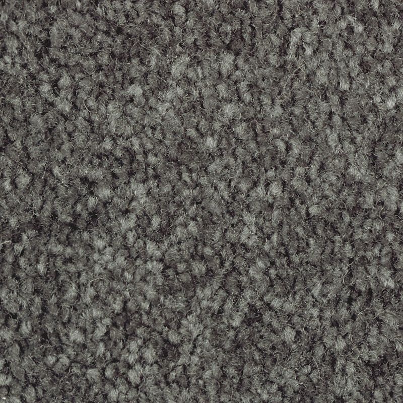 Homefront Iii Elvin Forest Triexta Carpet - Textured